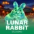 月兔