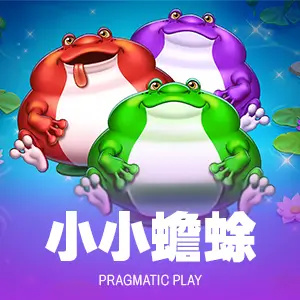 小小蟾蜍