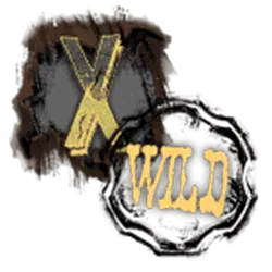 生死百搭-wild