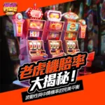 老虎機賠率大揭秘！波動性與中獎機率的完美平衡