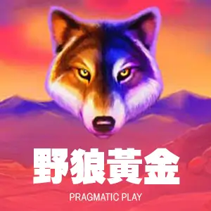 野狼黃金